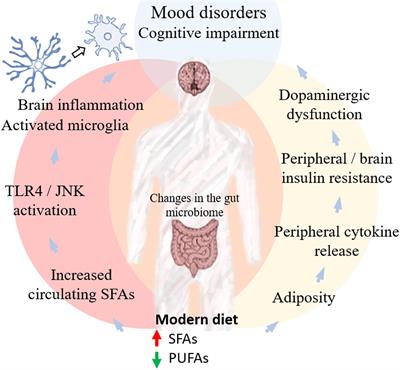 Diet-Derived Fatty Acids, Brain Inflammation, and Mental Health